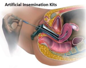 insemination kit for humans